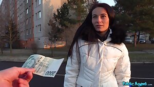Czech babe picked up and paid for sex